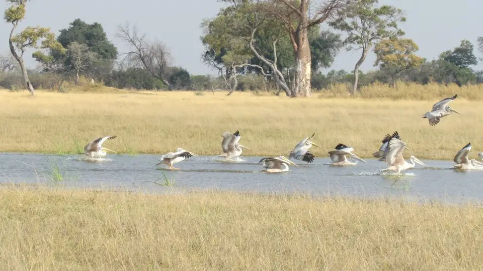 AIMG_0951.jpg