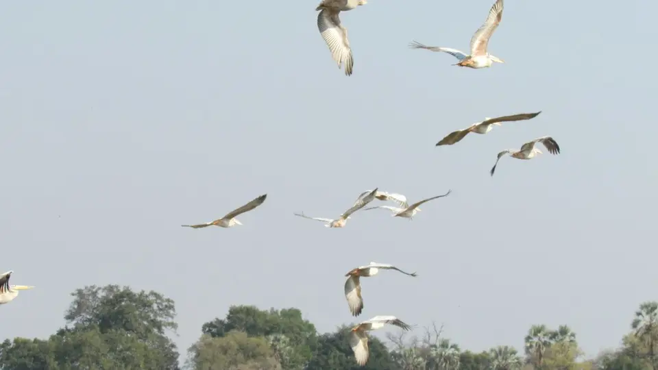 AIMG_0959.jpg