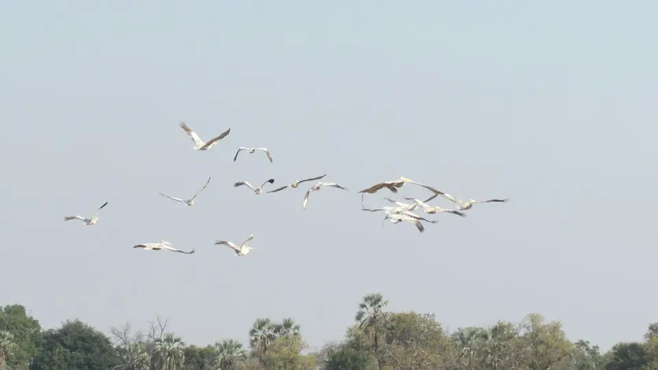 AIMG_0960.jpg