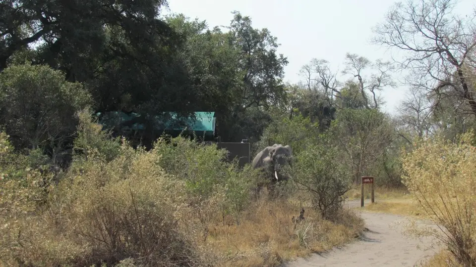 AIMG_1084.jpg