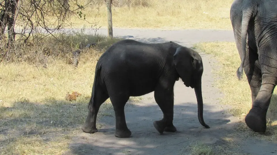 AIMG_1116.jpg