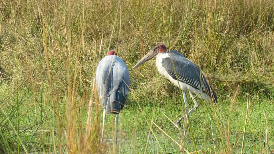 AIMG_1217_2012-09-29.jpg