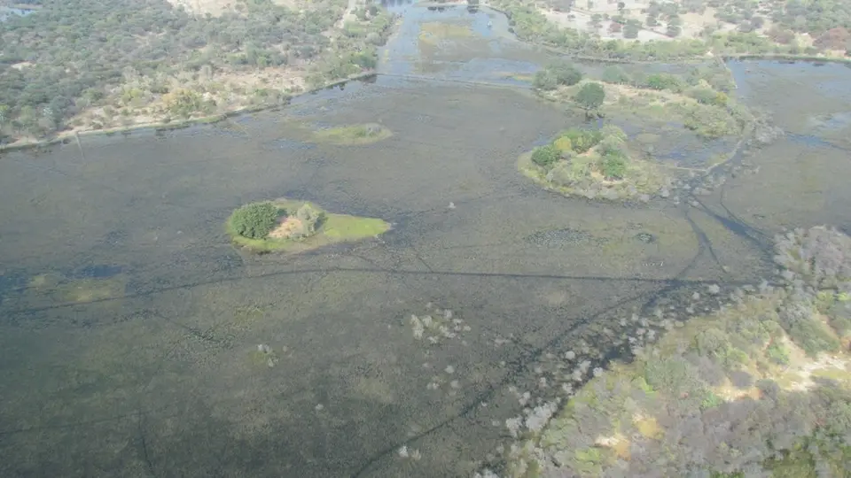 AIMG_1254_2012-09-29.jpg