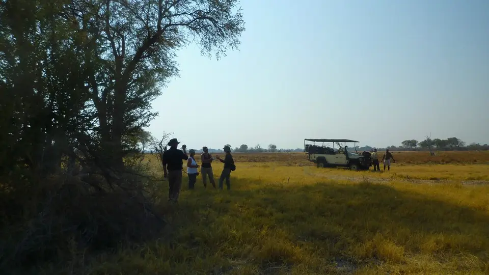 AP1100970.jpg