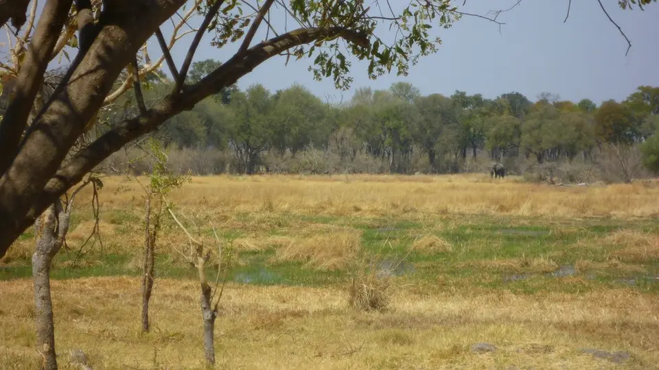 AP1100982.jpg