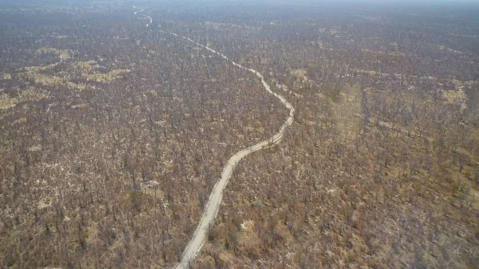 AP1110013.jpg
