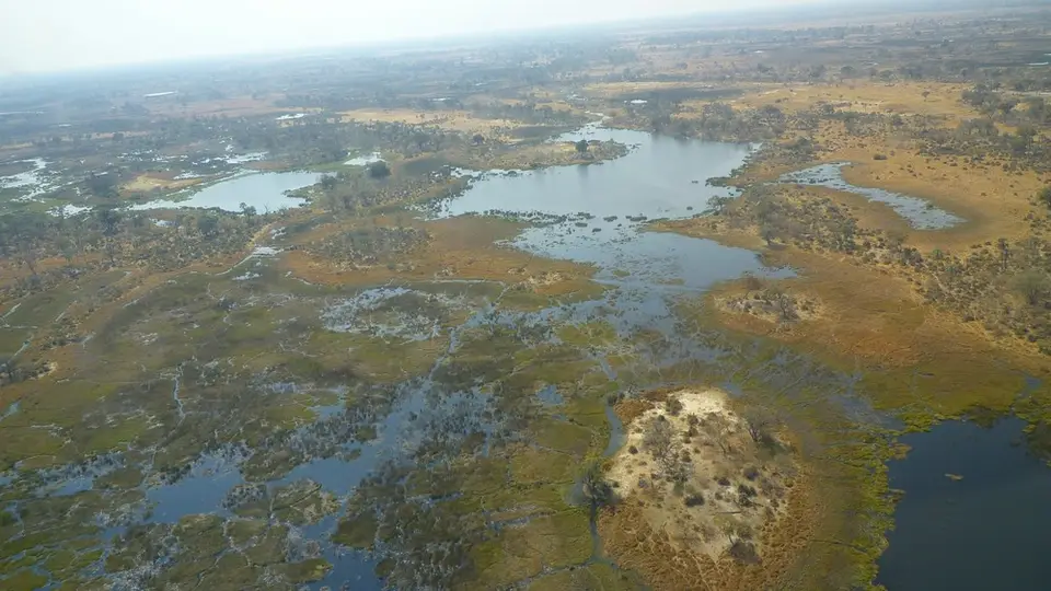 AP1110014.jpg
