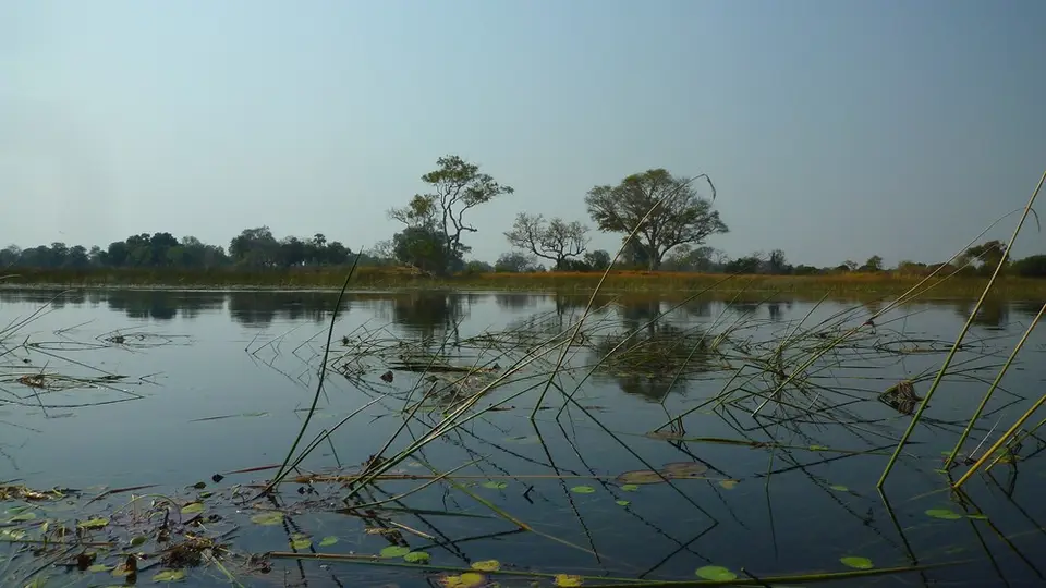 AP1110127.jpg