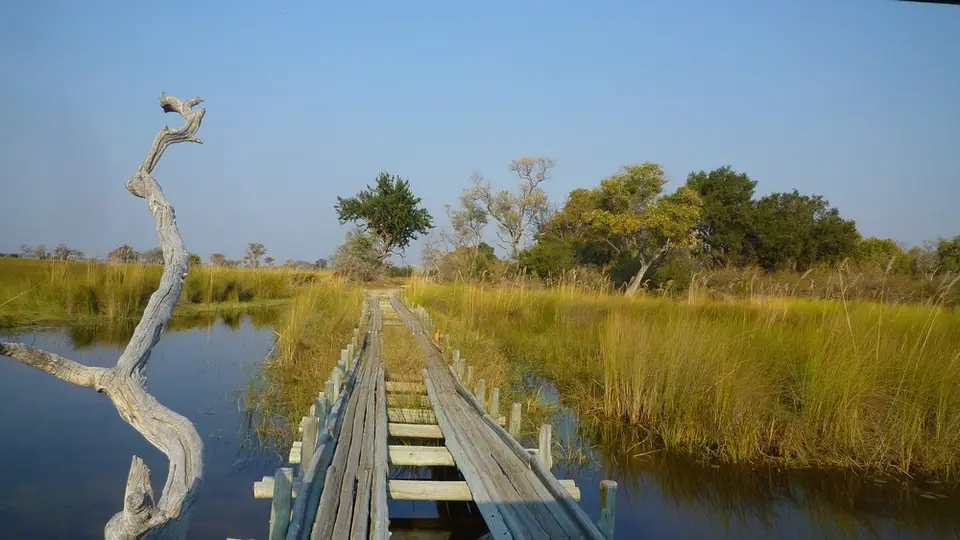 AP1110184.jpg