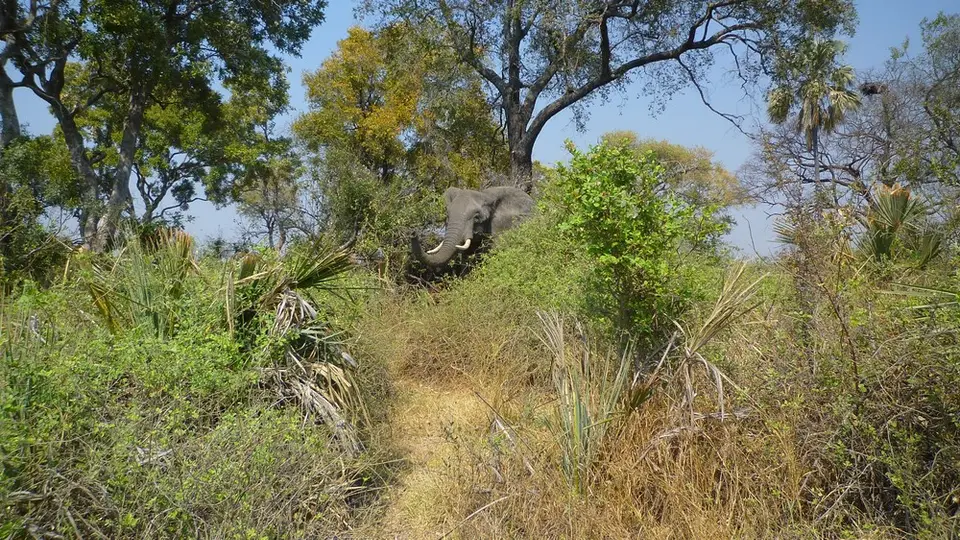 AP1110307.jpg