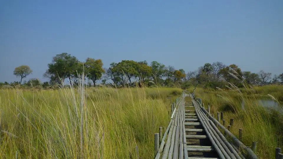 AP1110313.jpg