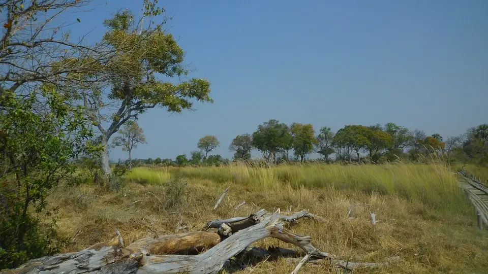 AP1110314.jpg