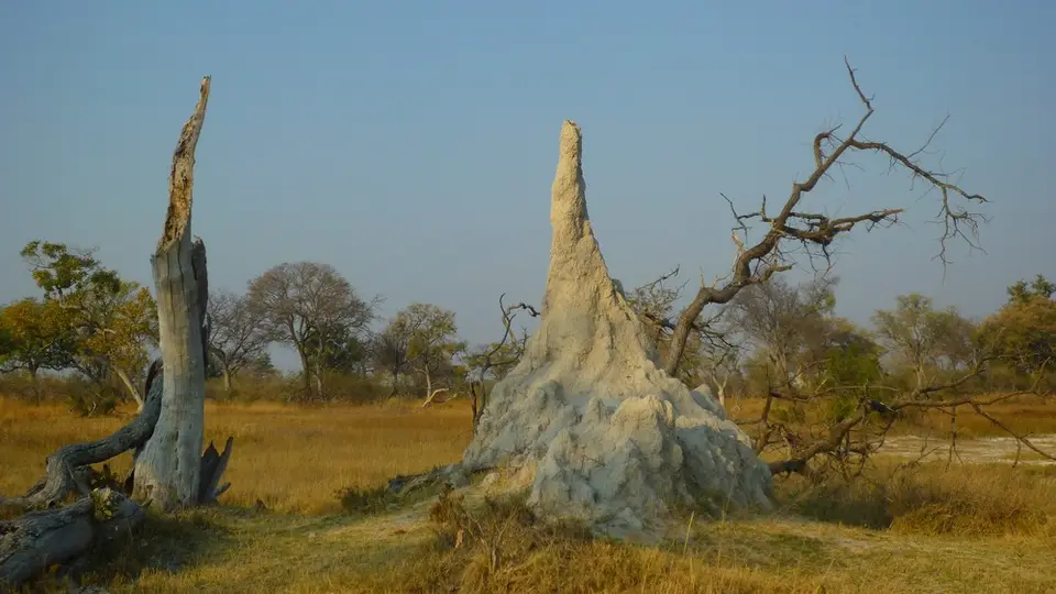 AP1110372.jpg