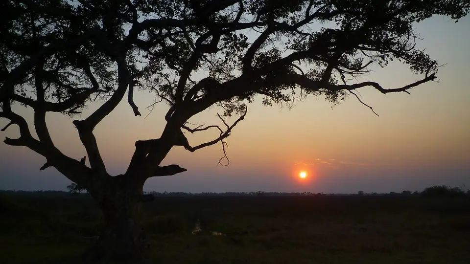 AP1110389.jpg