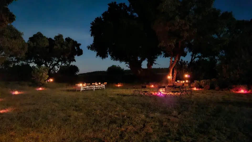 Bushdinner5BOT26k.jpg