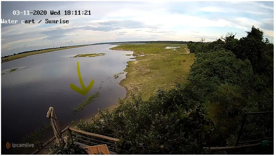 Chobe.JPG