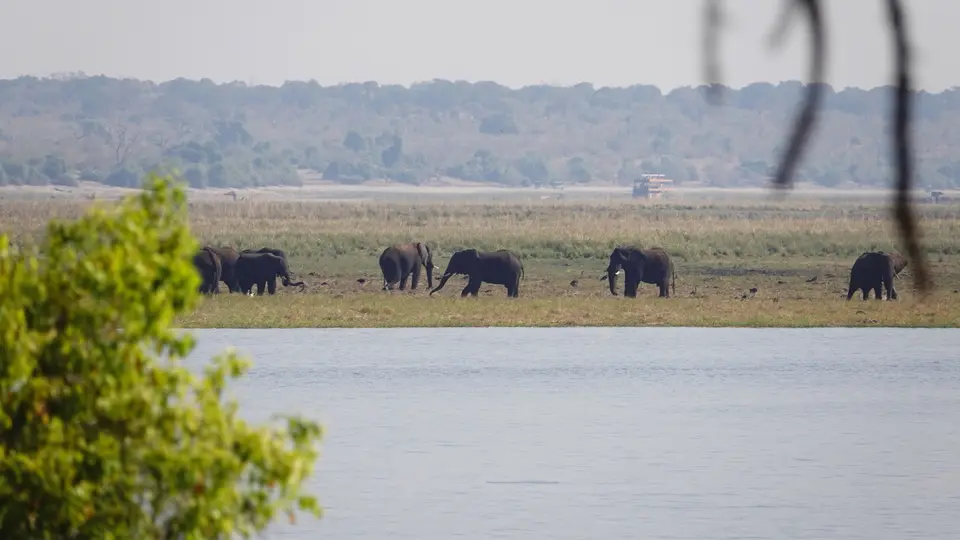 DSC00763BOT18.JPG