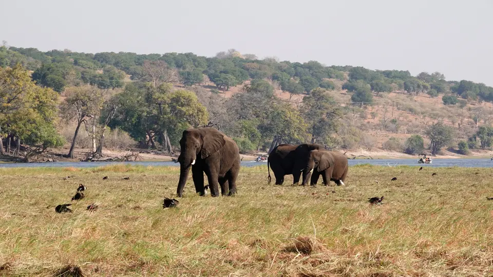 DSC01472BOT18.JPG
