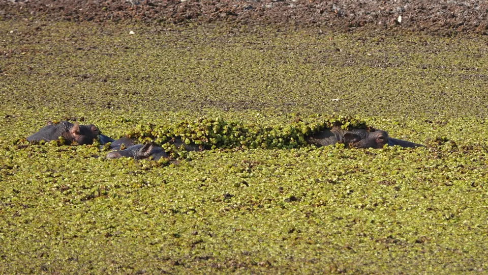 DSC01553k.JPG