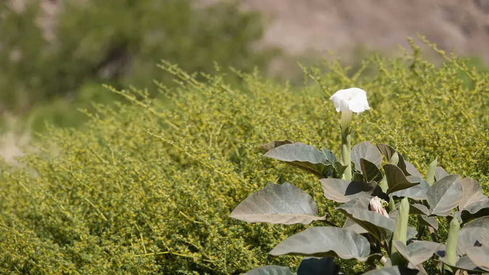 DSC01752kNAM2022.JPG