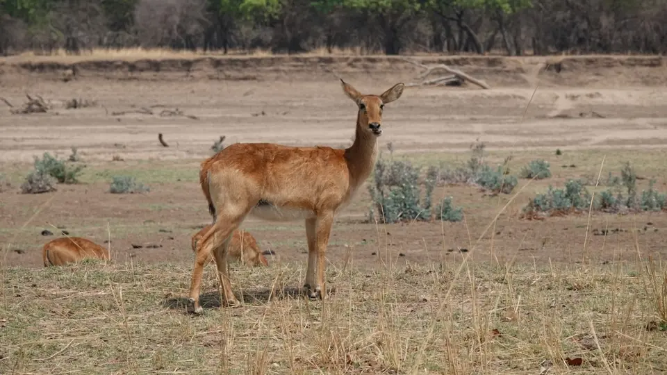 DSC01781ZAM25k.jpg