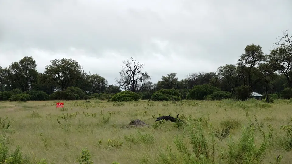 DSC03001BOT26k.jpg