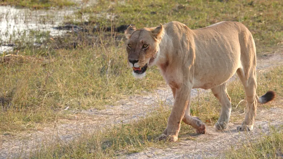DSC03027k.JPG