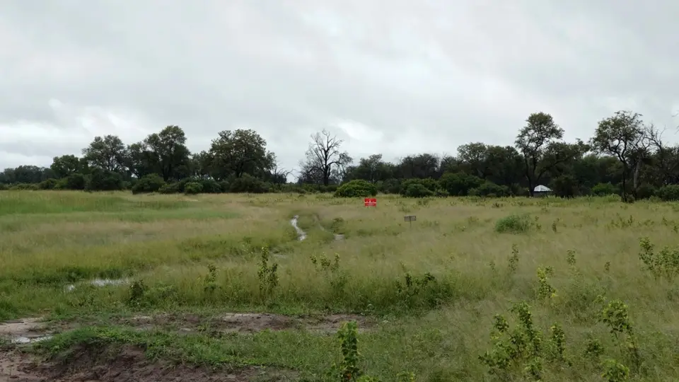 DSC03034BOT26k.jpg