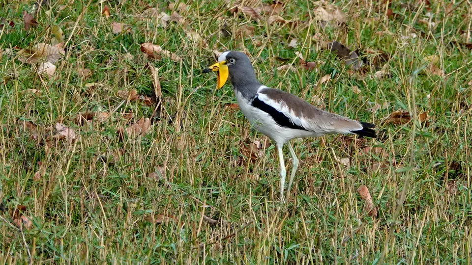 DSC03495k.JPG