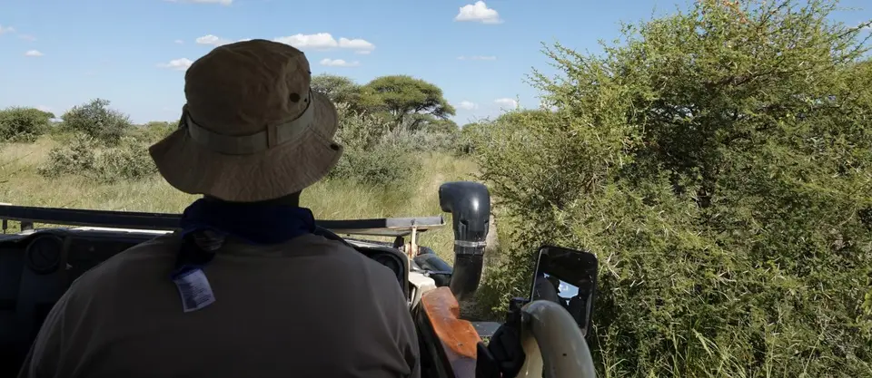 DSC03606k.jpg