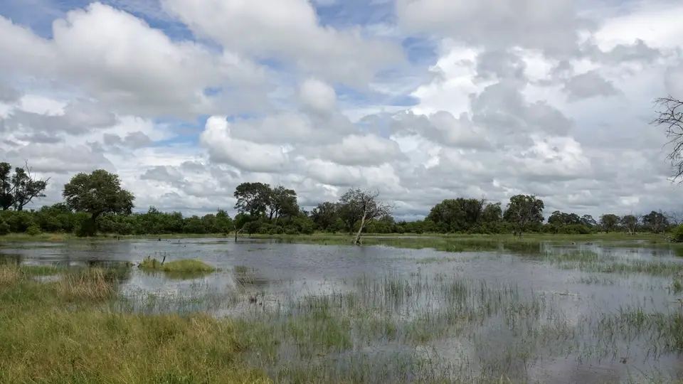 DSC04054BOT26k.jpg