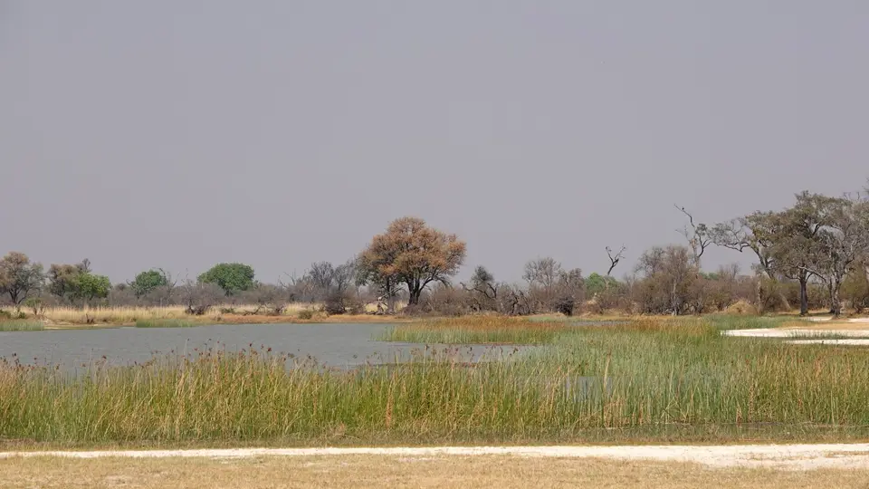 DSC04116BOT18.JPG