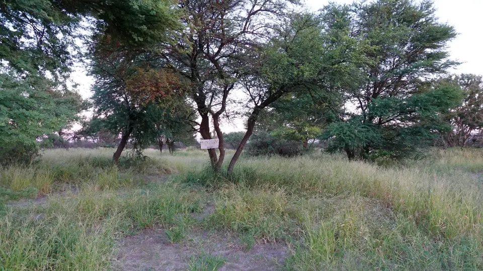 DSC04365BOT26k.jpg
