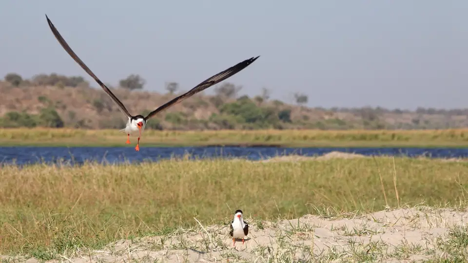 DSC04678k.JPG