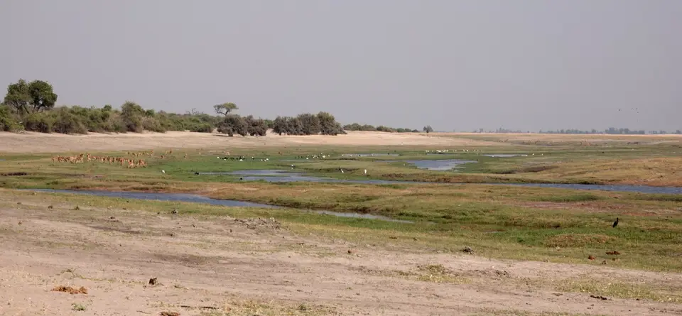 DSC04681kBOT23.JPG