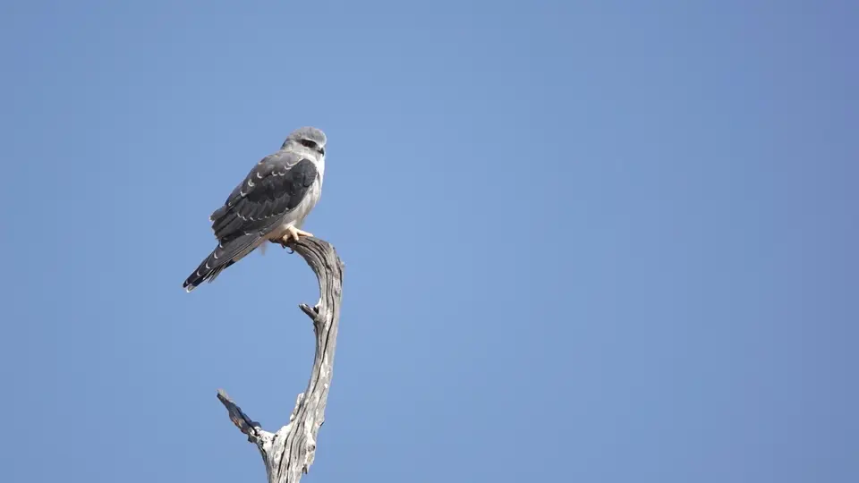 DSC04819k-2.JPG