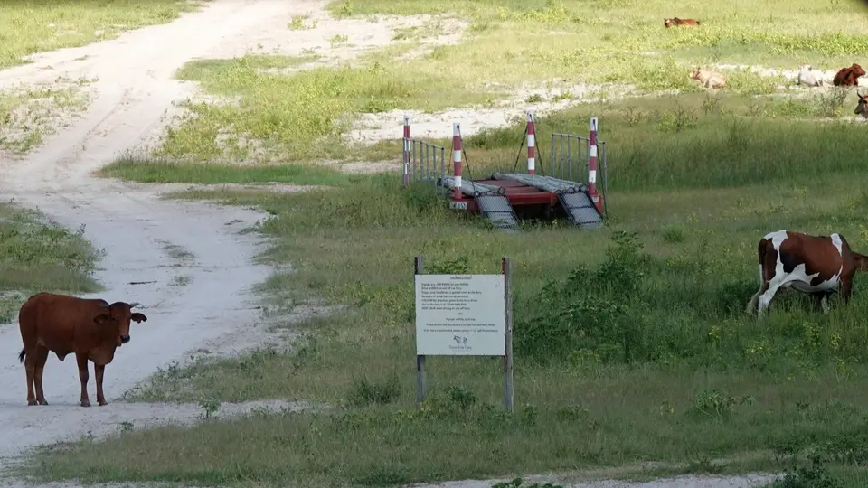 DSC04924BOT26k.jpg