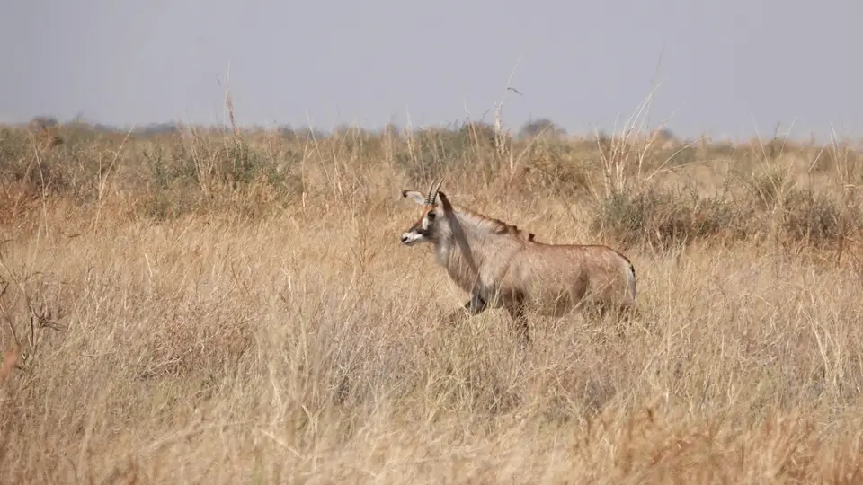 DSC05125k.JPG