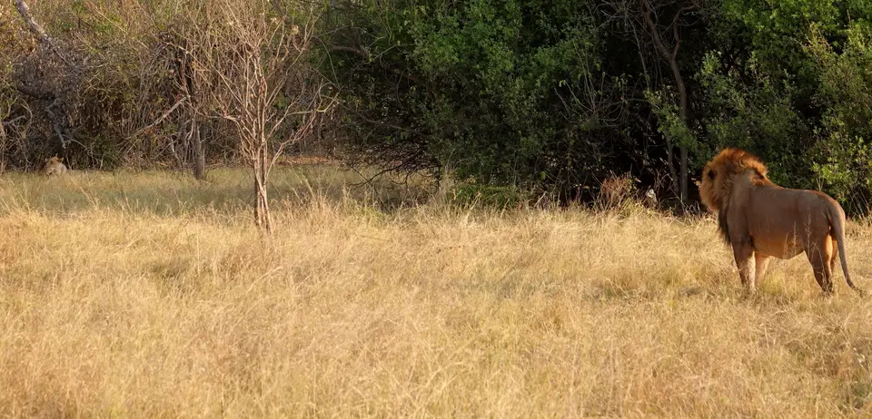 DSC05201BOT18.JPG