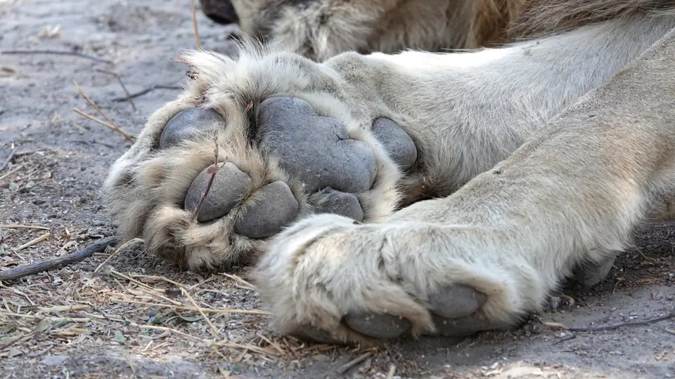 DSC05541k.JPG