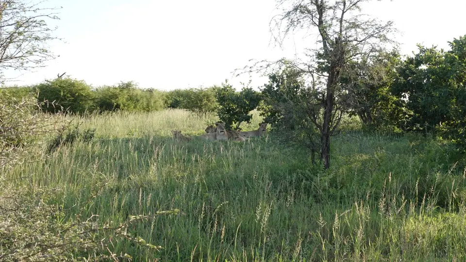 DSC05894BOT26k.jpg