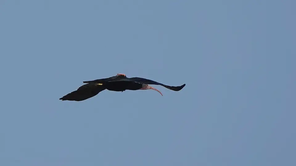 DSC06075.jpg