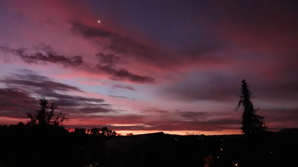 DSC06815k.JPG