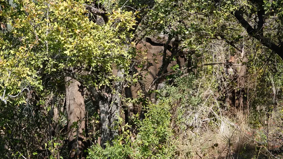 DSC08052BOT18.JPG