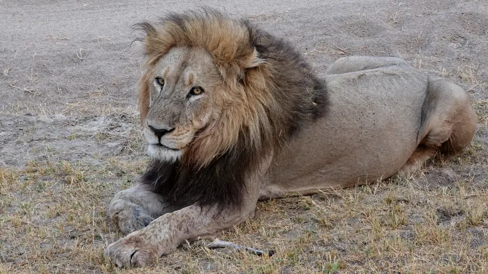 DSC08150kkBOT23.JPG