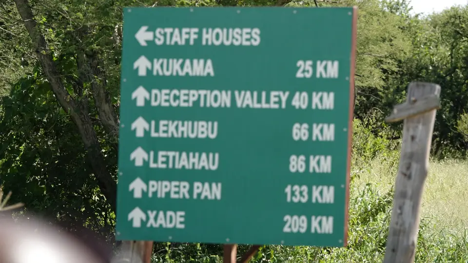 DSC08224BOT26k.jpg