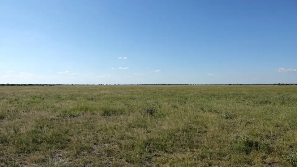 DSC08233BOT26k.jpg
