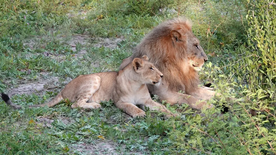 DSC08825BOT26k.jpg