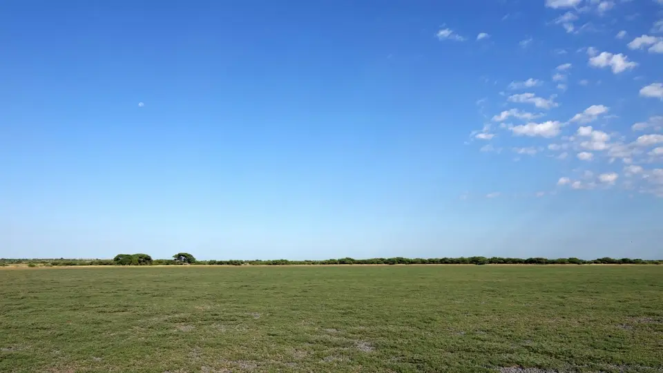 DSC08871BOT26k.jpg