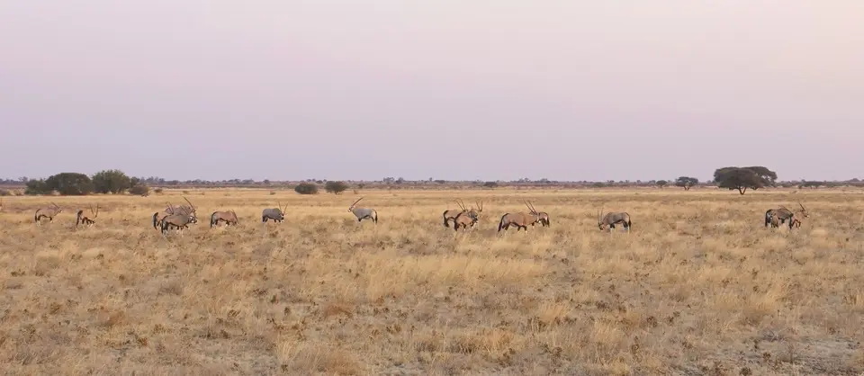 DSC09034akb-2.JPG